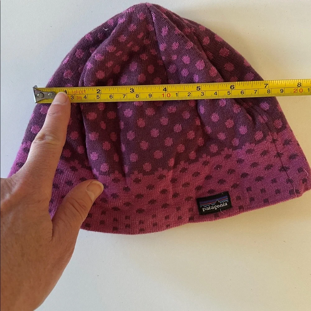 Patagonia Fleece Lined Winter Hat